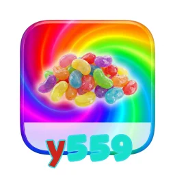 y559
